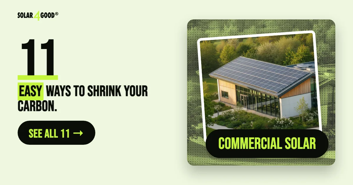11 Ways to Be Environmentally Friendly As a Business