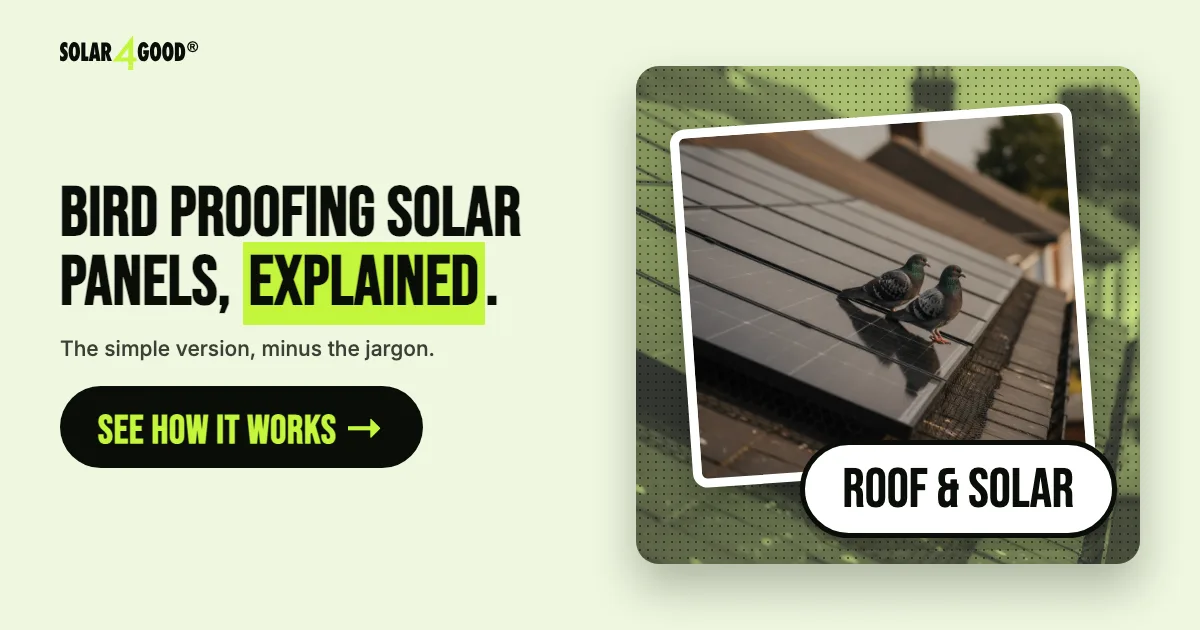 The Ultimate Guide to Bird Proofing Solar Panels in the UK 2026