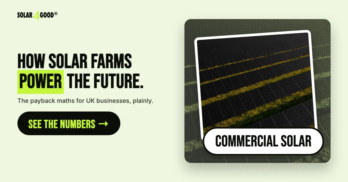 Solar Farms: How Sunlight Is Powering a Sustainable Future