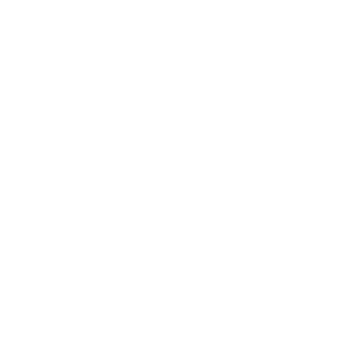 Tesla Tesla