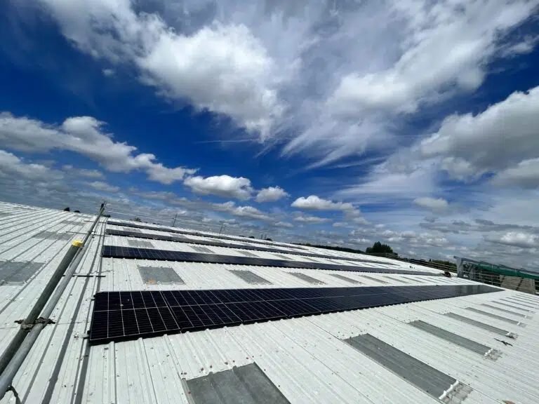 Sun Mark solar panels on flat roof